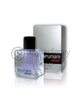 Cotec dAzur Brunani Silver Parfémovaná voda 100ml, (Alternatíva vône Bruno Banani Pure Men)