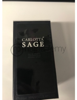Carlotta Sage, Toaletna voda 100 (Alternativa parfemu Christian Dior Sauvage)