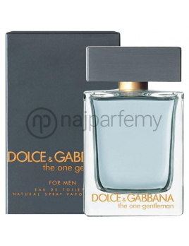 Dolce&Gabbana The One Gentleman, Toaletná voda 100ml, Tester